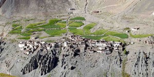 photoksar