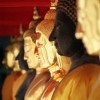 Die Vielfalt Buddhistischen Wissens startimg